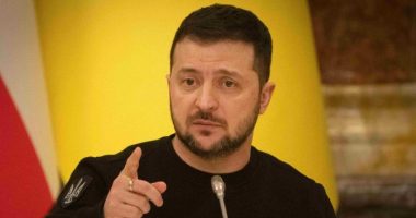 Zelensky për protestat në Gjeorgji: Ne duam një sukses demokratik