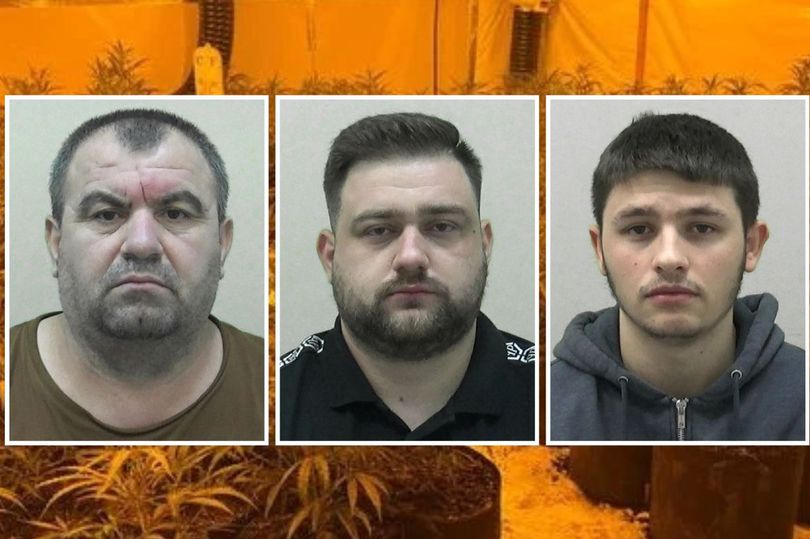 “Mbikëqyrësi” dhe “Kopshtarët”/ Arrestohen 3 emigrantët e paligjshëm shqiptarë në Angli, u kapën në “shtëpi bari”