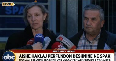 Berisha, padi për vrasje, dëshmia e Haklajt: Si më zhduku familjen