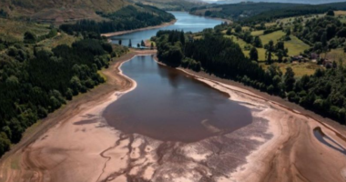 22 prilli, dita ndërkombëtare e Tokës