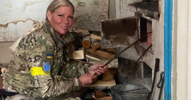 Ish-deputetja suedeze i bashkohet ushtrisë ukrainase