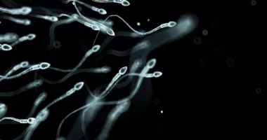 Shkencëtarët zbulojnë arsyet kryesore të rënies së numrit të spermatozoideve tek meshkujt