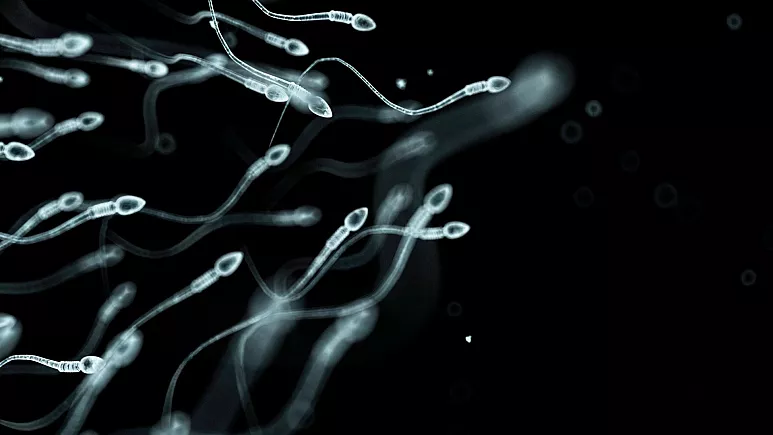 Shkencëtarët zbulojnë arsyet kryesore të rënies së numrit të spermatozoideve tek meshkujt