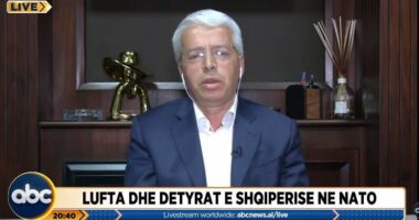 Detyrat e Shqipërisë në NATO, Lleshaj: Nuk duhet të heqim dorë nga mbrojtja e vendit, pse duhet shërbimi ushtarak