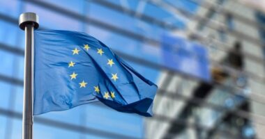 BE ndëshkon Gjeorgjinë, pezullohen udhëtimet pa viza për zyrtarët e vendit