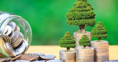 AMF synon të nxisë emetimin e Obligacioneve të Gjelbra