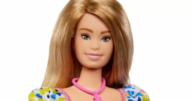 Për herë të parë, krijohet kukulla Barbie me sindromën Down