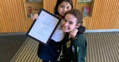 “Heroina e vogël” 5-vjeçare, vogëlushja thërret ndihmën e parë duke i shpëtuar jetën nënës së saj