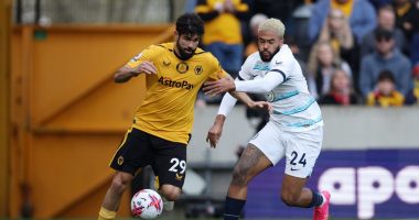 Thirrje homofobike në stadium, arrestohen 3 tifozë të Wolverhampton