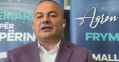 Bojkoti i PD në zgjedhjet lokale në 2019/ Kapllanaj: Basha e pranoi që bëri gabim