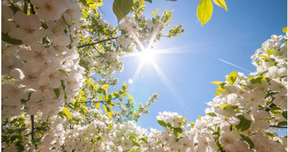 Temperatura deri në 26 gradë, parashikimi i motit për ditën e sotme