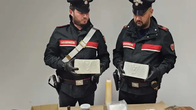 Fsheu mbi 3 kilogramë kokainë në pyll, arrestohet shqiptari