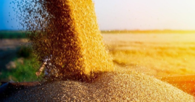 BE ndihmon me 100 milionë euro fermerët e prekur nga importet e grurit ukrainas