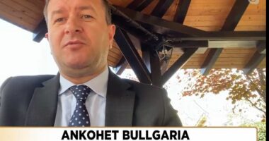 Ndryshimet kushtetuese në Maqedoni, Sela: Janë bërë përparime, partitë opozitare shqiptare mendojnë për përfitimet e tyre