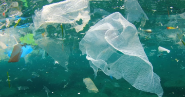 G7-a zotohet për dhënie fund të ndotjes plastike deri më 2040