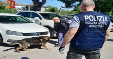 Kapet “kapoja” shqiptar i drogës në Itali, sekuestrohen kokainë dhe kanabis