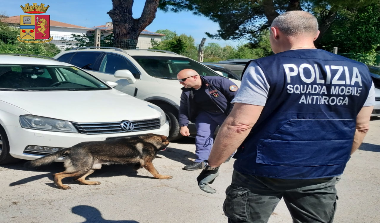 Kapet “kapoja” shqiptar i drogës në Itali, sekuestrohen kokainë dhe kanabis