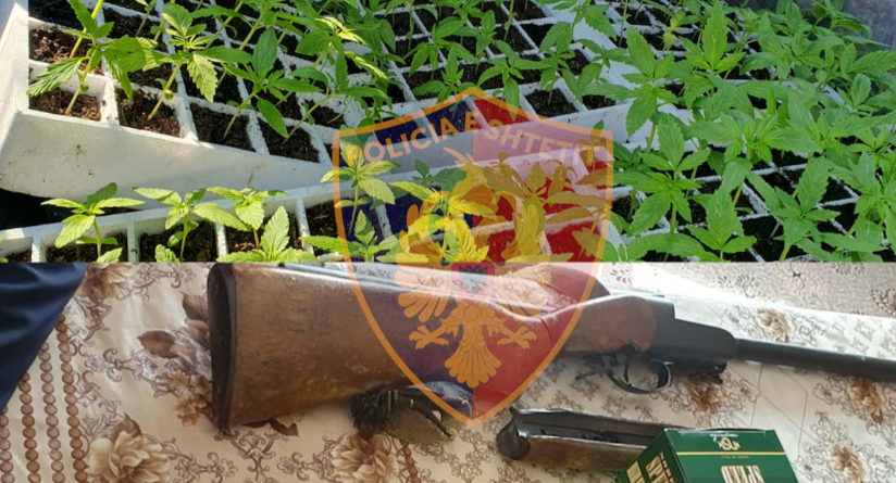 Fier, woman arrested for drugs cultivation