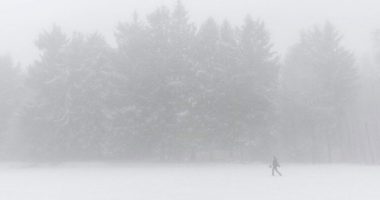 Stuhia e borës godet Kanadanë, 2 viktima dhe mijëra familje pa energji elektrike