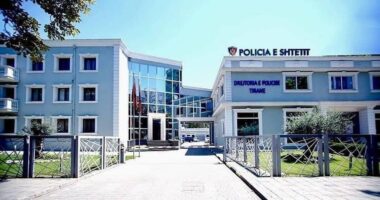 I shiti 9 çanta false si origjinale për 36 mijë euro, pranga 30-vjeçares në Tiranë