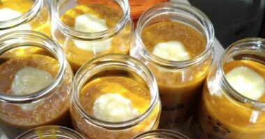 Nga sistemi nervor deri tek kolagjeni, ja përfitimet e qumështit të bletës