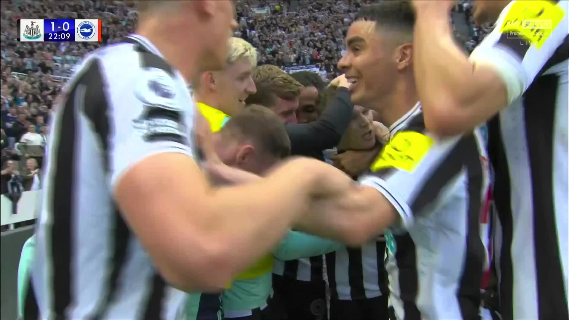 VIDEO/ Newcastle në avantazh, “bardhezinjtë” ndëshkojnë Brighton nga goditja e këndit