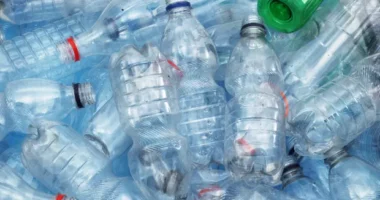 Greenpeace: Riciklimi i plastikës i dëmshëm, nuk është zgjidhje për ndotjen