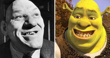 Historia e Shrek-ut, si u frymëzua nga një person i vërtetë – Abc News