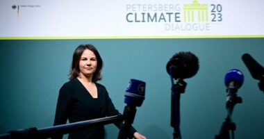 Baerbock: “Po kërkojmë zgjidhje pragmatike” për klimën
