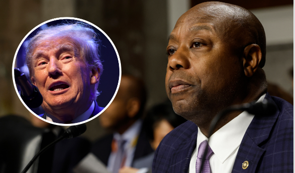 Një afro-amerikan kundër Trump në garën për president/ Tim Scott shpall zyrtarisht kandidaturën