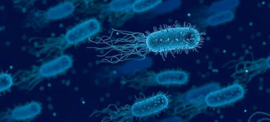 Shkencëtarët me inteligjencë artificiale zhvilluan një antibiotik të ri kundër superbaktereve