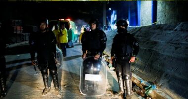 VIDEO/ U shkelën teksa tentuan të futeshin në stadium, humbin jetën 9 persona në El Salvador