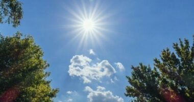 Rriten temperaturat, vlerat maksimale pritet të shkojnë në 20 gradë Celsius