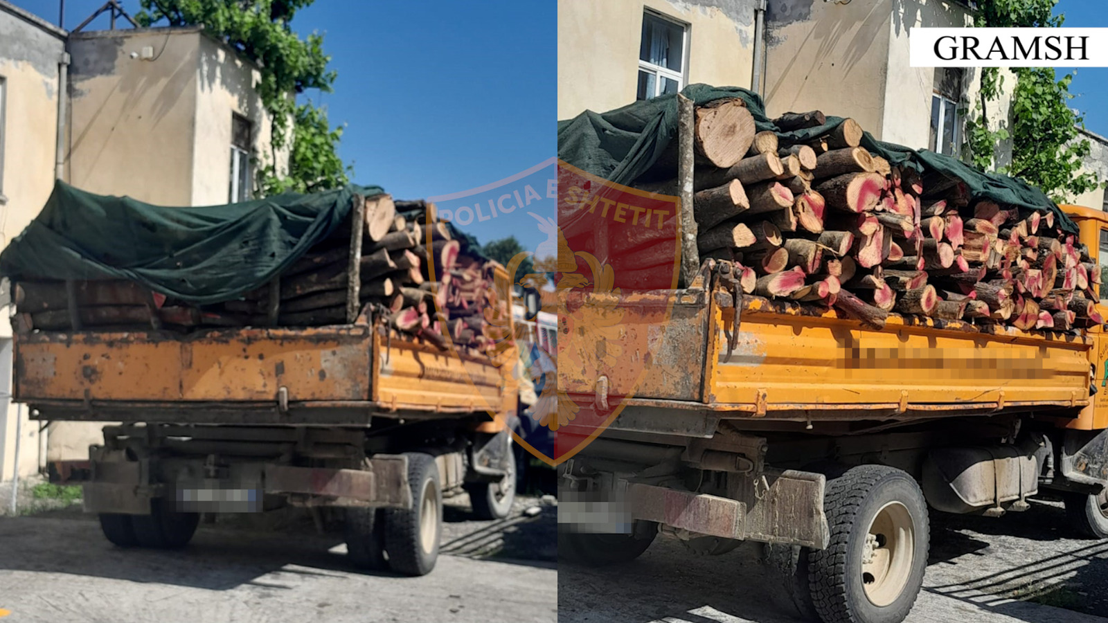 Ndërtime pa leje dhe prerje e paligjshme e pyjeve, procedohen tre persona në Elbasan