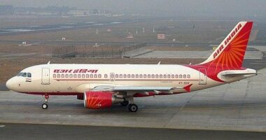 Gruaja pickohet nga një akrep në avion, bordi ndërpret fluturimin