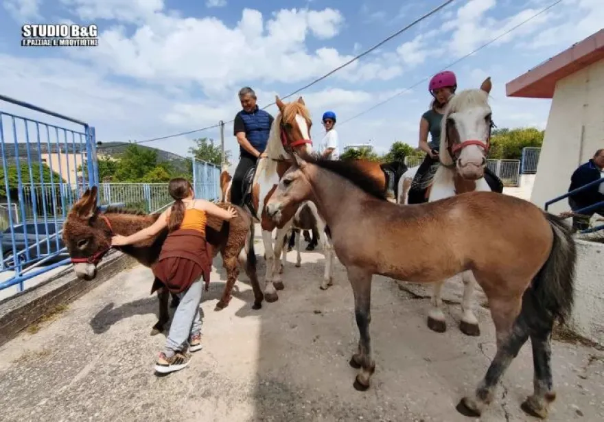 FOTO/ Një fermer shkon me një kalë dhe një gomar për të votuar në Greqi