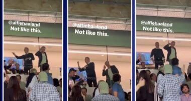 VIDEO/ Erling në hije, por babai i tij jo: Alfie Haaland ofendon rëndë tifozët e Realit dhe nxirret jashtë “Bernabeut”