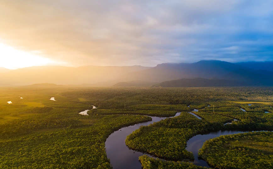 Brazil, reduktohet shpyllëzimi i Amazonës