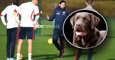 Arteta “firmos” me një kafshë në ekip, qeni “psikolog” i lojtarëve të Arsenalit