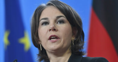 Ministrja e Jashtme gjermane: BE do të vendosë sanksione të reja kundër Iranit