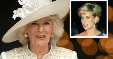 “Kate Middleton vendos vathët e vjehrrës”, Camilla kurorëzohet, por postimet për Dianën poshtojnë rrjetin