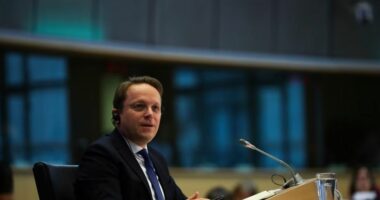 Varhelyi kritikon Dodikun: Aleatët e BE-së nuk shkojnë në Rusi