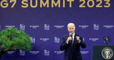 Biden: Nuk po kërkojmë të shkëputemi por të diversifikojmë marrëdhëniet tona me Kinën