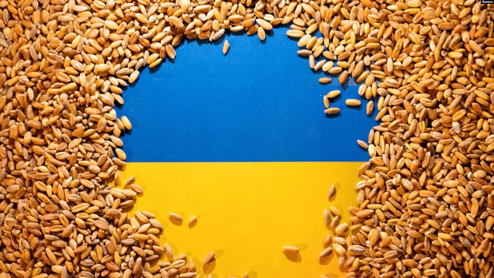 Pse BE-ja po vendos kufizime në importet ukrainase?