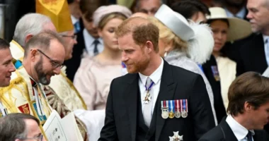 Pse u komentua veshja e Princit Herri në kurorëzimin e babait