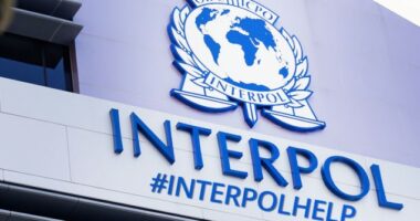 I akuzuar për disa vepra penale/ Arrestohet shqiptari në Gjermani, pritet ekstradimi (EMRI)