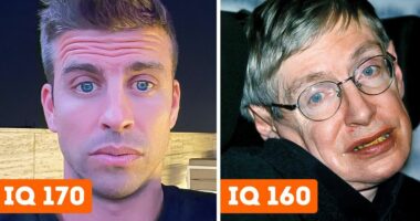 10 të famshëm me një IQ aq të lartë sa mund të bëhen Ajnshtajni i ardhshëm