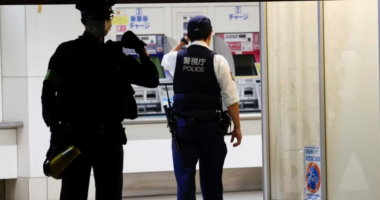 Sulm me thikë dhe armë zjarri në Japoni, humbin jetën tre persona