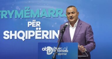 PD synon Mallakastrën/ Kapllanaj: Nuk do të kërkoja votë po të mos kisha bërë punë