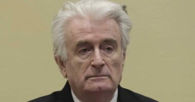 Në listën e zezë të SHBA/ Familjarët e Radovan Karaxhiçit, padi ndaj Departamentit të Thesarit